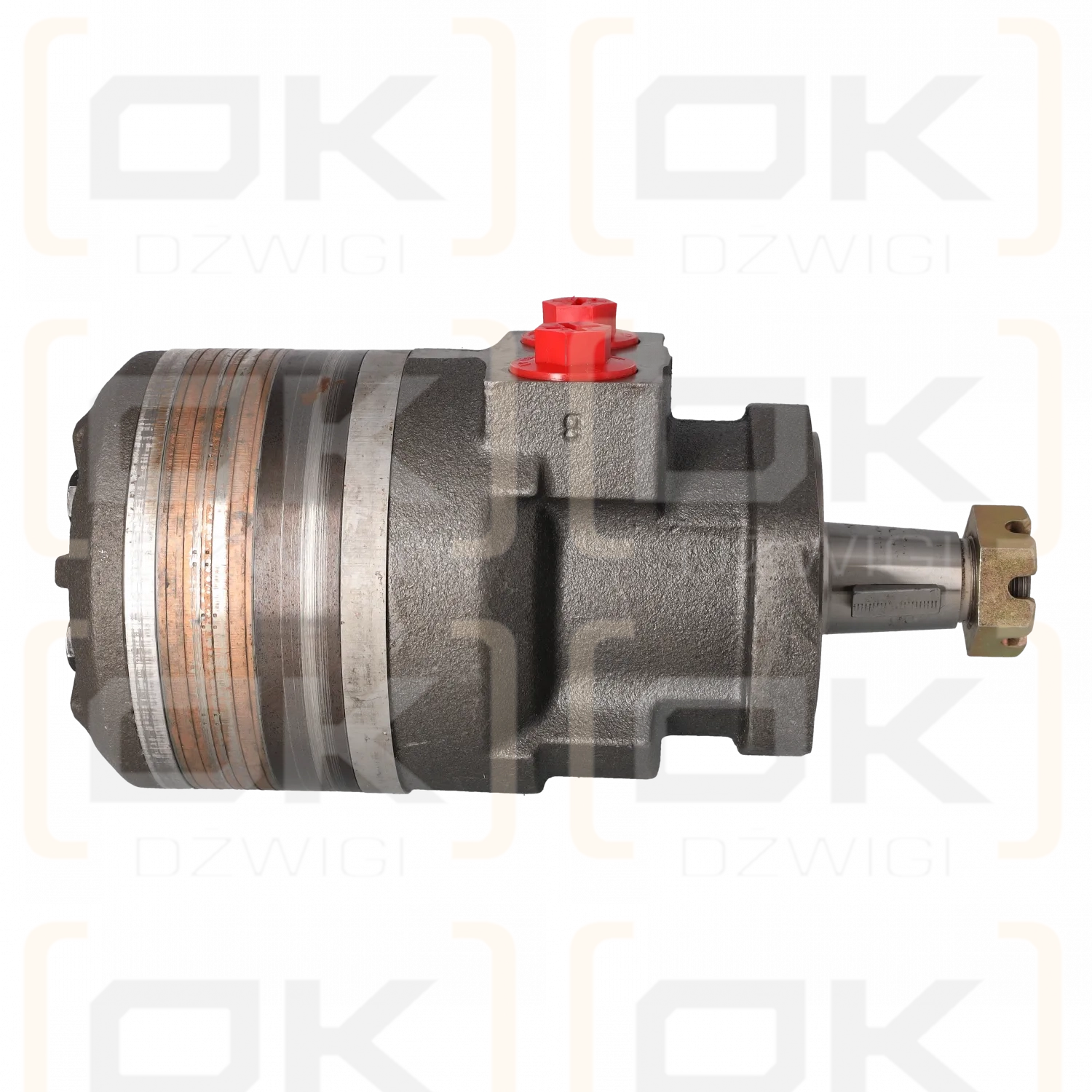 Silnik hydrauliczny Parker TF0280MV080AABP